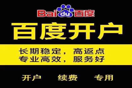 竞价广告的转化率提升策略——案例分享